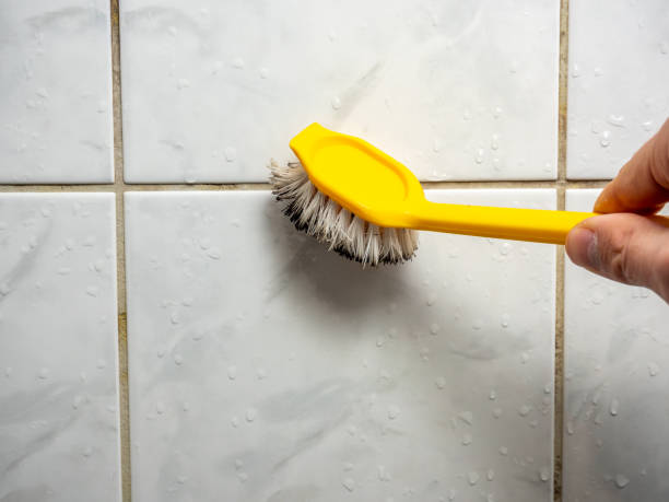 Best Localized Mold Remediation (e.g., coastal areas, humid climates) in Lindenwold, NJ
